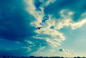 y{zA[gpl {[h artmart A[g}[g ʐ^ A~t[  Y R[fBl[g ǎ z EH[XebJ[ tHg   ItBX ze  a@ z[