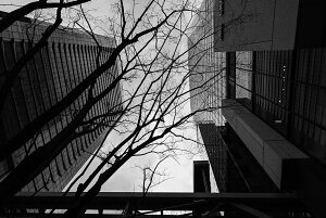 y{zA[gpl {[h artmart A[g}[g ʐ^ A~t[  Y R[fBl[g ǎ z EH[XebJ[ tHg   ItBX ze  a@ z[