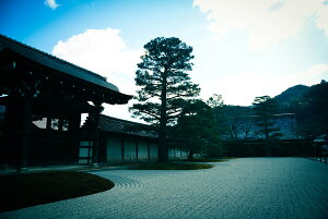 y{zA[gpl {[h artmart A[g}[g ʐ^ A~t[  Y R[fBl[g ǎ z EH[XebJ[ tHg   ItBX ze  a@ z[