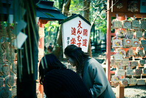 y{zA[gpl {[h artmart A[g}[g ʐ^ A~t[  Y R[fBl[g ǎ z EH[XebJ[ tHg   ItBX ze  a@ z[