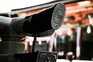 y{zA[gpl {[h artmart A[g}[g ʐ^ A~t[  Y R[fBl[g ǎ z EH[XebJ[ tHg   ItBX ze  a@ z[