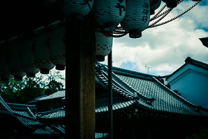 y{zA[gpl {[h artmart A[g}[g ʐ^ A~t[  Y R[fBl[g ǎ z EH[XebJ[ tHg   ItBX ze  a@ z[