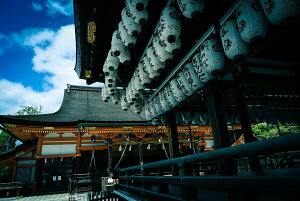 y{zA[gpl {[h artmart A[g}[g ʐ^ A~t[  Y R[fBl[g ǎ z EH[XebJ[ tHg   ItBX ze  a@ z[