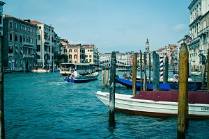 y{zA[gpl {[h artmart A[g}[g ʐ^ A~t[  Y R[fBl[g ǎ z EH[XebJ[ tHg   ItBX ze  a@ z[