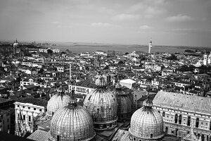 y{zA[gpl {[h artmart A[g}[g ʐ^ A~t[  Y R[fBl[g ǎ z EH[XebJ[ tHg   ItBX ze  a@ z[