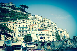 y{zA[gpl {[h artmart A[g}[g ʐ^ A~t[  Y R[fBl[g ǎ z EH[XebJ[ tHg   ItBX ze  a@ z[