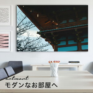 y{zA[gpl {[h artmart A[g}[g ʐ^ A~t[  Y R[fBl[g ǎ z EH[XebJ[ tHg   ItBX ze  a@ z[