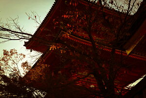 y{zA[gpl {[h artmart A[g}[g ʐ^ A~t[  Y R[fBl[g ǎ z EH[XebJ[ tHg   ItBX ze  a@ z[