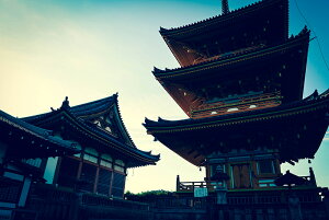 y{zA[gpl {[h artmart A[g}[g ʐ^ A~t[  Y R[fBl[g ǎ z EH[XebJ[ tHg   ItBX ze  a@ z[