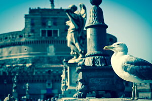 y{zA[gpl {[h artmart A[g}[g ʐ^ A~t[  Y R[fBl[g ǎ z EH[XebJ[ tHg   ItBX ze  a@ z[