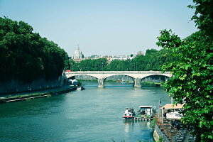 y{zA[gpl {[h artmart A[g}[g ʐ^ A~t[  Y R[fBl[g ǎ z EH[XebJ[ tHg   ItBX ze  a@ z[