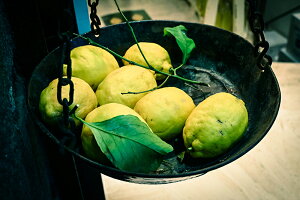 y{zA[gpl {[h artmart A[g}[g ʐ^ A~t[  Y R[fBl[g ǎ z EH[XebJ[ tHg   ItBX ze  a@ z[