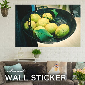 EH[XebJ[ A[gpl A[g ǎV[ ǃV[ CeA XebJ[ ʐ^  ǎ k R   lC Y  Vbv rO ItBX _CjO 