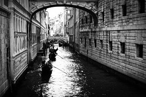 y{zA[gpl {[h artmart A[g}[g ʐ^ A~t[  Y R[fBl[g ǎ z EH[XebJ[ tHg   ItBX ze  a@ z[