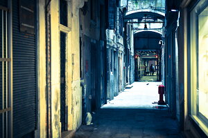 y{zA[gpl {[h artmart A[g}[g ʐ^ A~t[  Y R[fBl[g ǎ z EH[XebJ[ tHg   ItBX ze  a@ z[