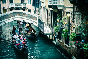 y{zA[gpl {[h artmart A[g}[g ʐ^ A~t[  Y R[fBl[g ǎ z EH[XebJ[ tHg   ItBX ze  a@ z[