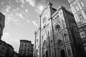 y{zA[gpl {[h artmart A[g}[g ʐ^ A~t[  Y R[fBl[g ǎ z EH[XebJ[ tHg   ItBX ze  a@ z[