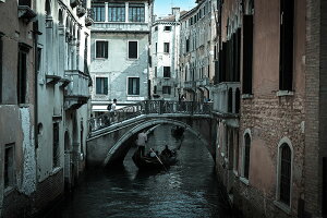 y{zA[gpl {[h artmart A[g}[g ʐ^ A~t[  Y R[fBl[g ǎ z EH[XebJ[ tHg   ItBX ze  a@ z[