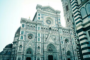 y{zA[gpl {[h artmart A[g}[g ʐ^ A~t[  Y R[fBl[g ǎ z EH[XebJ[ tHg   ItBX ze  a@ z[