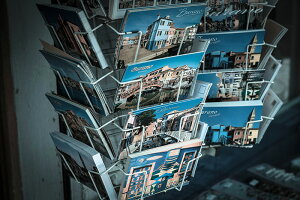 y{zA[gpl {[h artmart A[g}[g ʐ^ A~t[  Y R[fBl[g ǎ z EH[XebJ[ tHg   ItBX ze  a@ z[