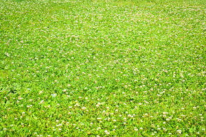 y{zA[gpl {[h artmart A[g}[g ʐ^ A~t[  Y R[fBl[g ǎ z EH[XebJ[ tHg   ItBX ze  a@ z[