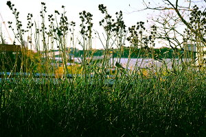 A[gpl {[h artmart A[g}[g 45×33 A3 CO LA NY AJG ʐ^  Y R[fBl[g ǎ z EH[XebJ[ tHg  ItBX ze  a@ mg