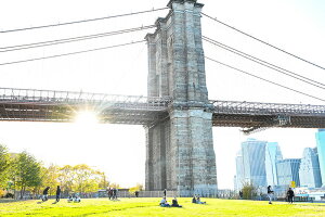 A[gpl {[h artmart A[g}[g 45×33 A3 CO LA NY AJG ʐ^  Y R[fBl[g ǎ z EH[XebJ[ tHg  ItBX ze  a@ mg