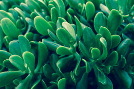 楽天市場 額縁 A3 アートパネル アートボード 壁紙 装飾フィルム インテリア 寝具 収納の通販