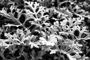 A[gpl {[h artmart A[g}[g 45×33 A3 CO LA NY AJG ʐ^  Y R[fBl[g ǎ z EH[XebJ[ tHg  ItBX ze  a@ mg