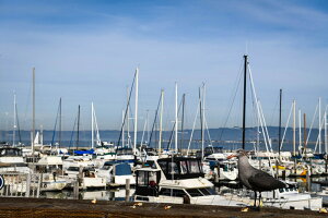 A[gpl {[h artmart A[g}[g 45×33 A3 CO LA NY AJG ʐ^  Y R[fBl[g ǎ z EH[XebJ[ tHg  ItBX ze  a@ mg