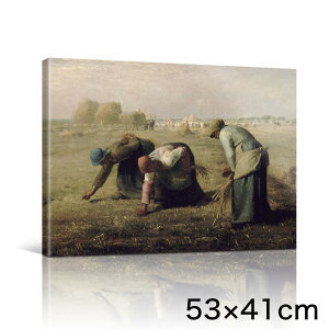 A[gpl A[g{[h ~[ E 53x41 B3 Ǌ| G CeA  _A[g G G L  lC  킢  |X^[  rO  X i
