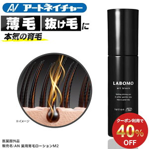 yԌz40%OFFN[|  A[glC`[ { A[gubN [V 90mL э jp p  j pэ Y у[V { {э E \h ёi 