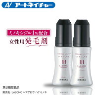 【第1類医薬品】公式 アートネイチャー ラボモ ヘアグロウ ハナミノキ 62mL 2本セット 発毛剤 育毛剤 女…