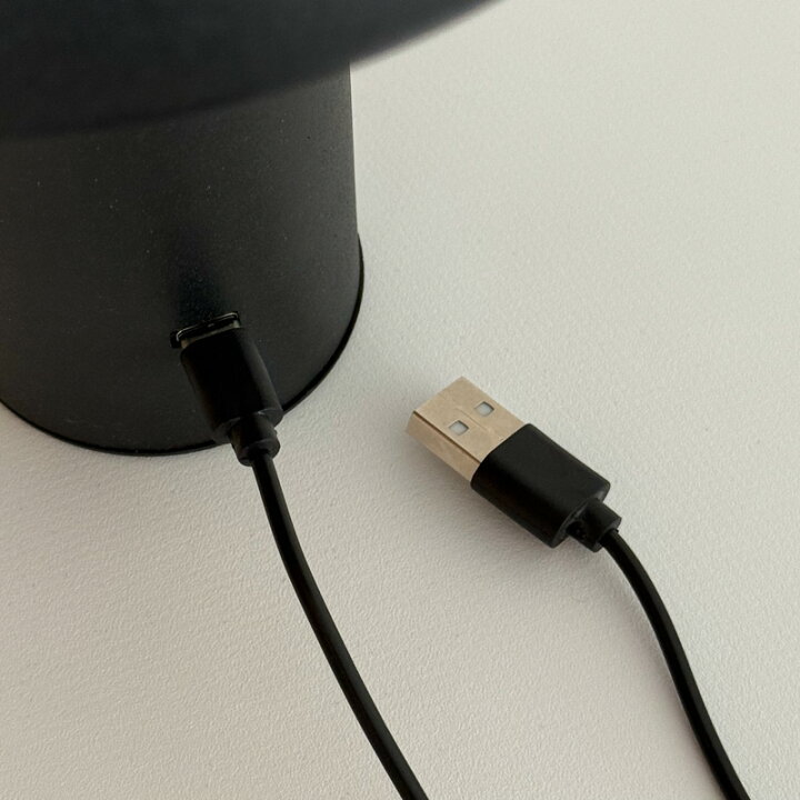 楽天市場】USB マッシュルーム テーブルランプ コードレス【ART OF 