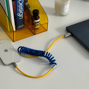 oCJ[ USBRCP[u [dR[h Lightning Type-CyART OF BLACKz