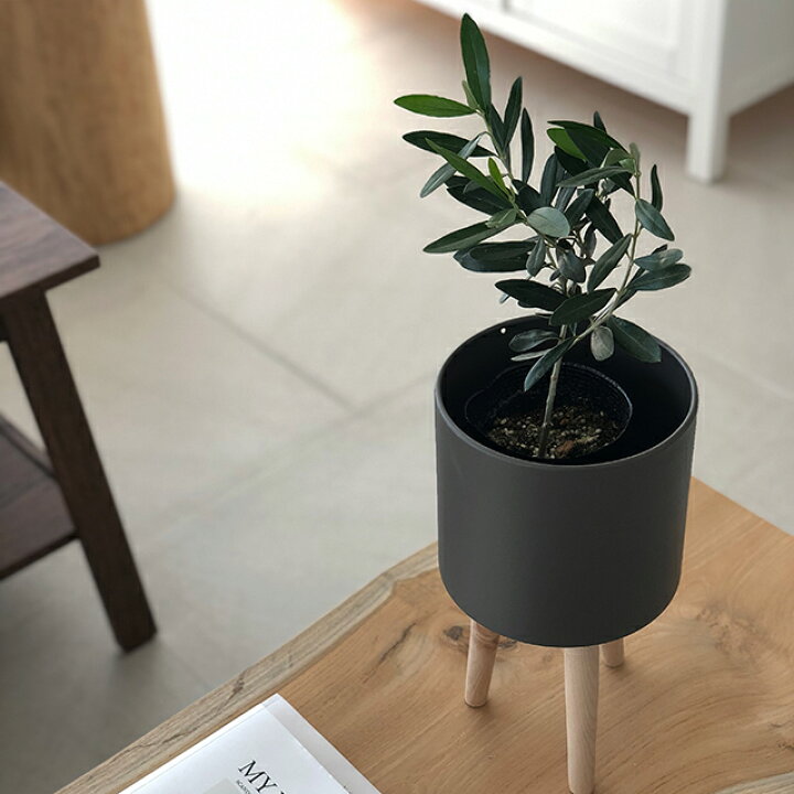 楽天市場】tripod ウッドスタンド プランター 鉢カバー 5号用 直径17cm 