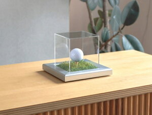 yv~AzSt{[fBXvCP[X (RNV P[X)ic163x163x119mmjyUV80ȏJbgANdlz { Y Or[ X|[c fBXvC