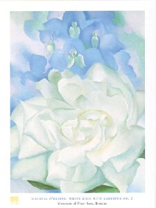 yW[WAEIL[tGA[g|X^[zKNƃftBjENo. 2(600×800mm) -- CeA -