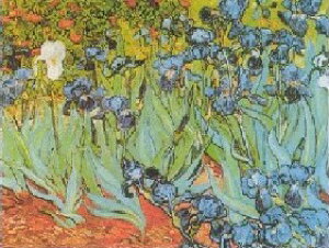 yA[g|X^[zACX(70cm×100cm) -Sbz- CeA (])