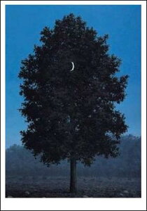 yA[g|X^[z916 (50×70cm) -}Obg- CeA