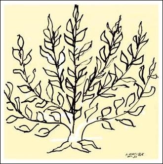 アンリ マティスの人気絵画アートポスター マティス アートポスター 低木 リトグラフ 680×680mm -おしゃれ インテリア 木 大きい モダン 本日限定 直営ストア ボタニカル 人気 に- 北欧 正方形 植物