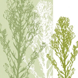 GEN[N A[g|X^[wGOSSAMER GREENSx(406×406mm) -CeA-  A[g|X^[