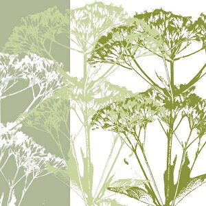 GEN[N A[g|X^[wDELICATE GREENSx(406×406mm) -CeA-  A[g|X^[