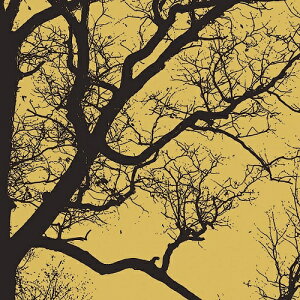 GEN[N A[g|X^[wREJOICE IVx(305×305mm) -CeA- (]Jbgς݃|X^[)