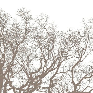 GEN[N A[g|X^[wMAJESTY IIx(305×305mm) -CeA- (]Jbgς݃|X^[)