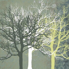 エリン・クラーク アートポスター『穏やかな森』(406×406mm) -おしゃれインテリアに- (余白カット済みポスター) 緑 アートポスター