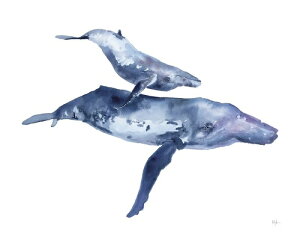 yKelly Clause A[g|X^[zMOTHER & CALF HUMPBACK(508×635mm) -CeA-@UgENW̐eqE
