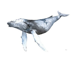 yKelly Clause A[g|X^[zINDIGO(406×508mm) -CeA-@FE