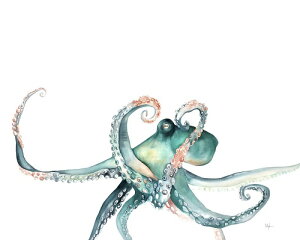 yKelly Clause A[g|X^[zMAMBO(406×508mm) -CeA-@}{x邽E