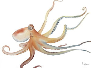 yKelly Clause A[g|X^[zPACIFIC QUEEN(457×610mm) -CeA-@m̏E